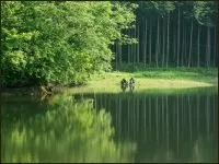 Hana yori mo naho (2006)