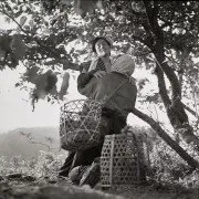 La Femme insecte (1963)