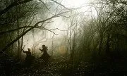 The Assassin (2015)