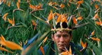 Jugatsu (1990)
