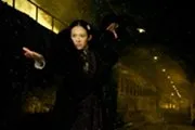The Grandmaster (2013)