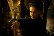 The Grandmaster (2013)
