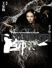 The Grandmaster (2013)
