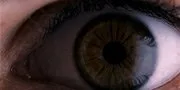 Amer (2009)