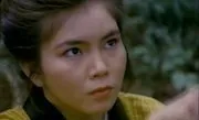 Chikan densha : gokuhi honban (1984)