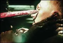 Dog Soldiers (2002)