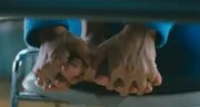 God’s Puzzle (2008)
