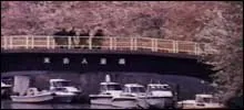 The Stairway to the Distant Past (1994)