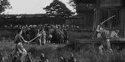 Les 7 samouraïs (1954)