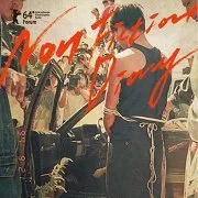 Non-Fiction Diary (2014)