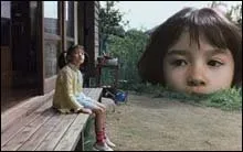 The Taste of Tea (2004)