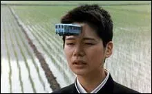 The Taste of Tea (2004)