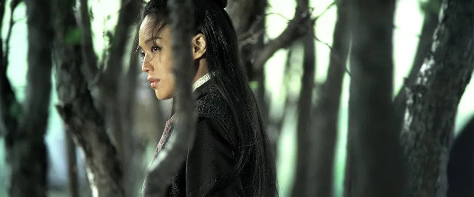 The Assassin (2015)
