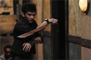 The Raid (2011)