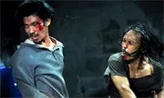 The Raid (2011)