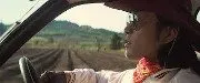Les Mouchoirs jaunes du bonheur (1977)