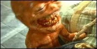 Zombie Jieitai (2005)