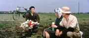 Nuages d'été (1958)